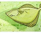 Flounder