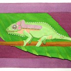 Chameleon