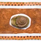Clay Snail