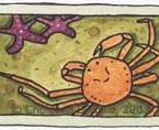 Live Crab