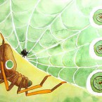 Fly Catcher