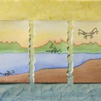Lifecycle of a Dragonfly