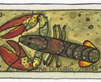 Live Lobster