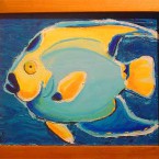 Queen Angelfish