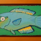 Queen Parrotfish (male)