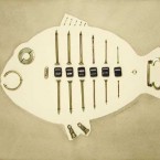Skeleton Fish