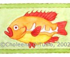 Yellowbellied