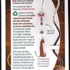 bookmark