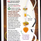 Orange heart bookmark bookmark